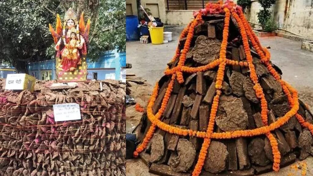 होली से गोरक्षा और पर्यावरण संरक्षण