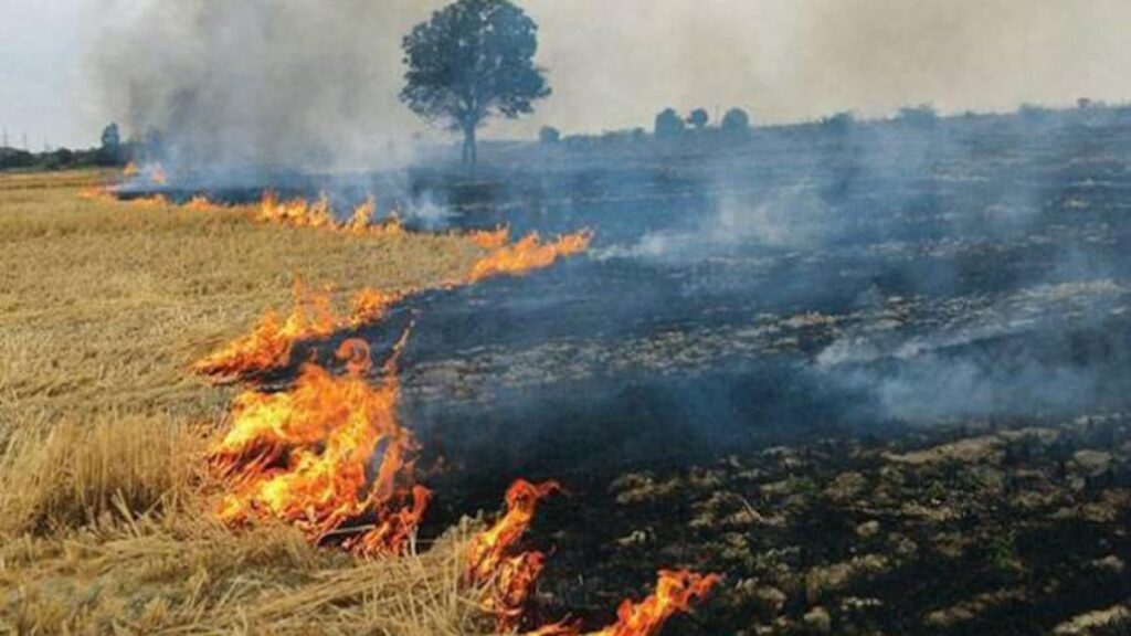 पराली के प्रदूषण को मात देती कुछ तकनीकें