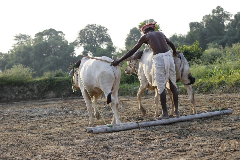 अध्‍यादेशों ने अकेला कर दिया किसान को