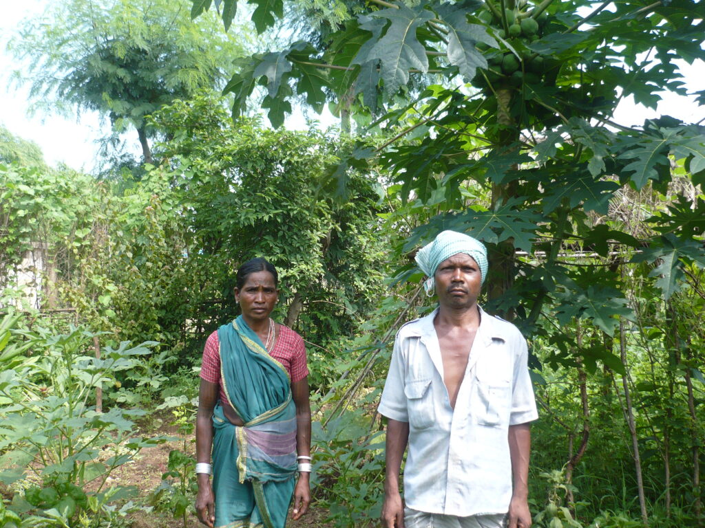 आदिवासियों की सब्जी बाड़ी