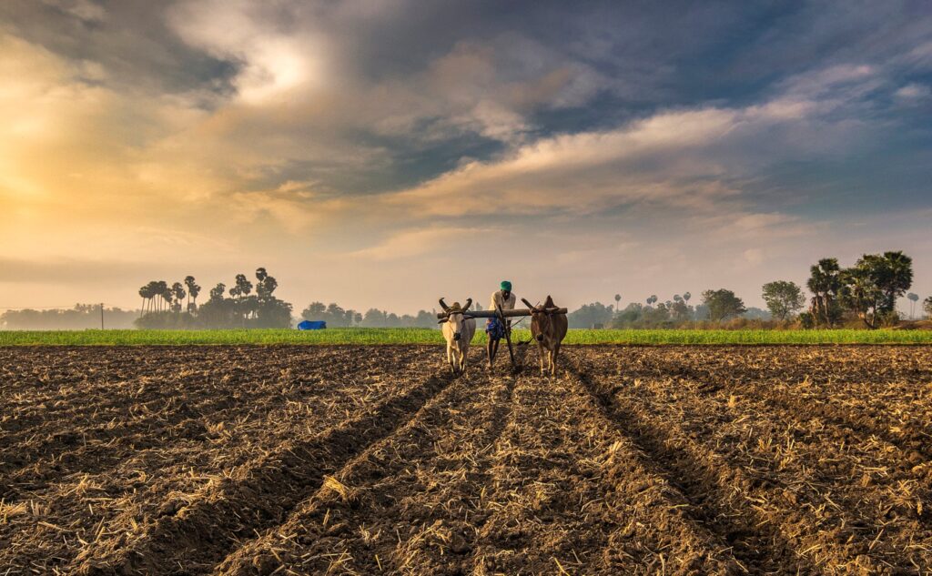 किसानों के लिए क्या मायने रखता है, ताजा बजट