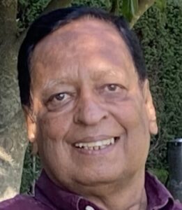 दुर्गाप्रसाद अग्रवाल