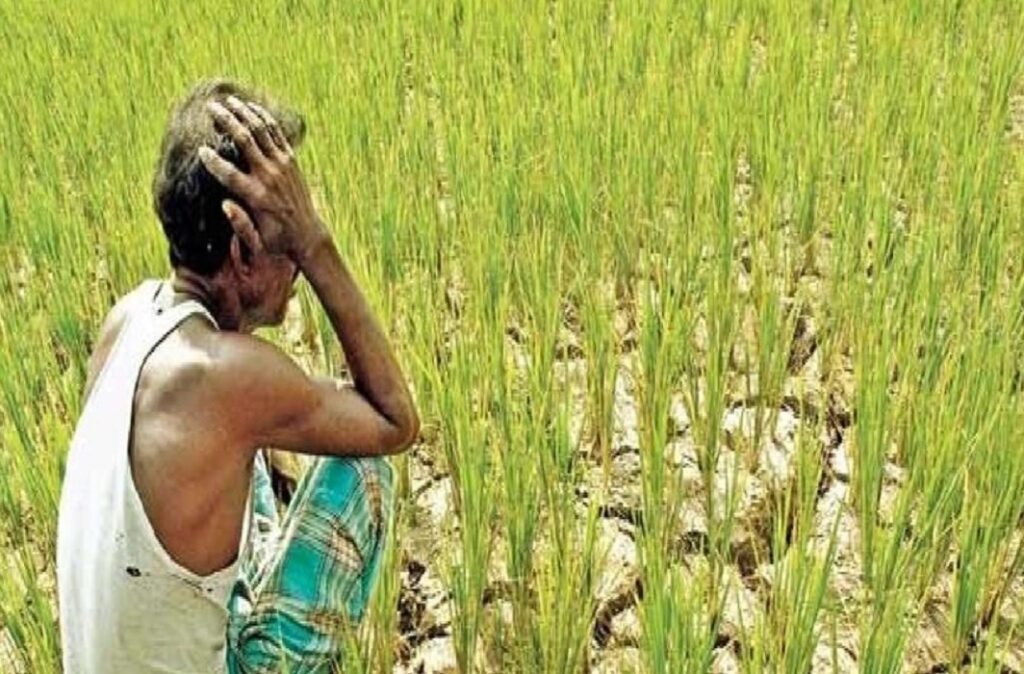 मौसम की मार : बीमा और तकनीक में फंसा किसान