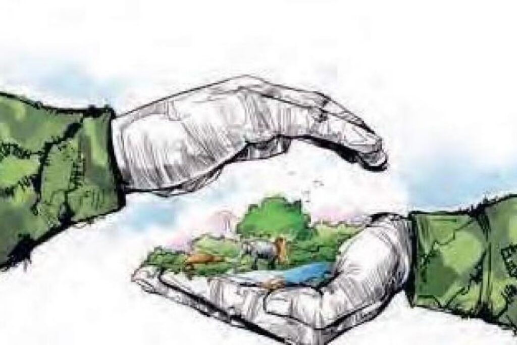 बेहाल पर्यावरण : बेहद नाकाफी है बजट