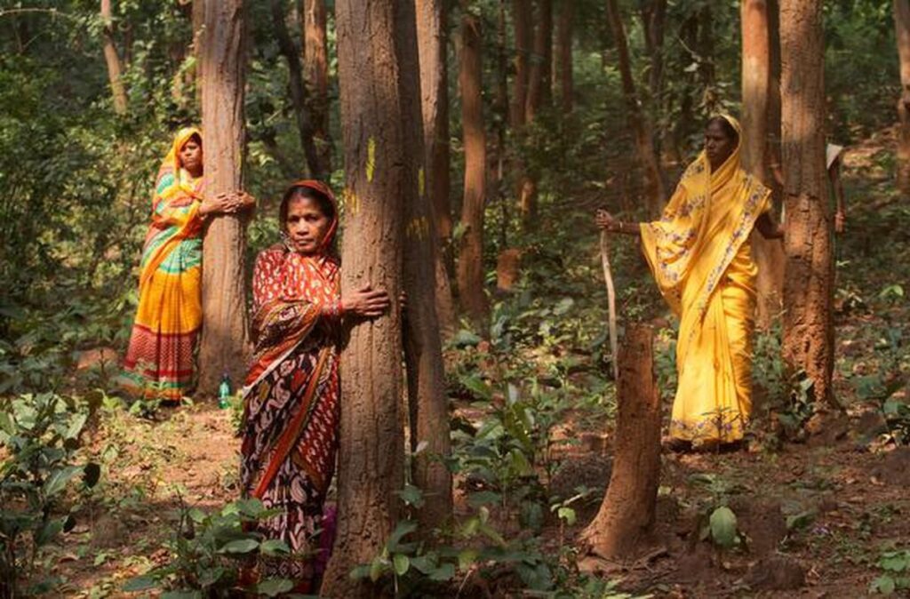 पर्यावरण : वन संरक्षण के देसी उपाय