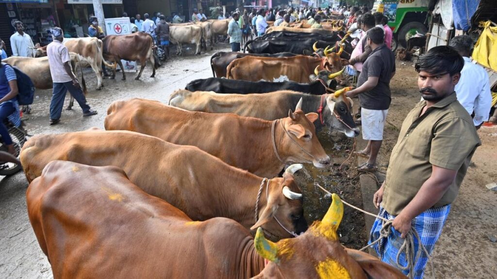 आम बजट 2026 : ग्रामीण समृद्धि की रीढ़ बनेगा पशुधन