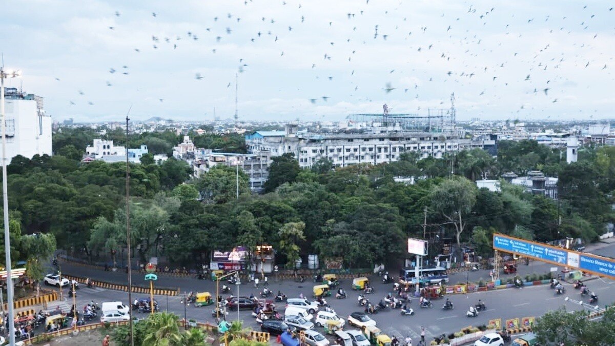 मध्यप्रदेश में पर्यावरणीय संकट पर एडीबी और विश्व बैंक से हस्तक्षेप की मांग, प्रभावित परियोजनाओं का वित्त रोकने की अपील